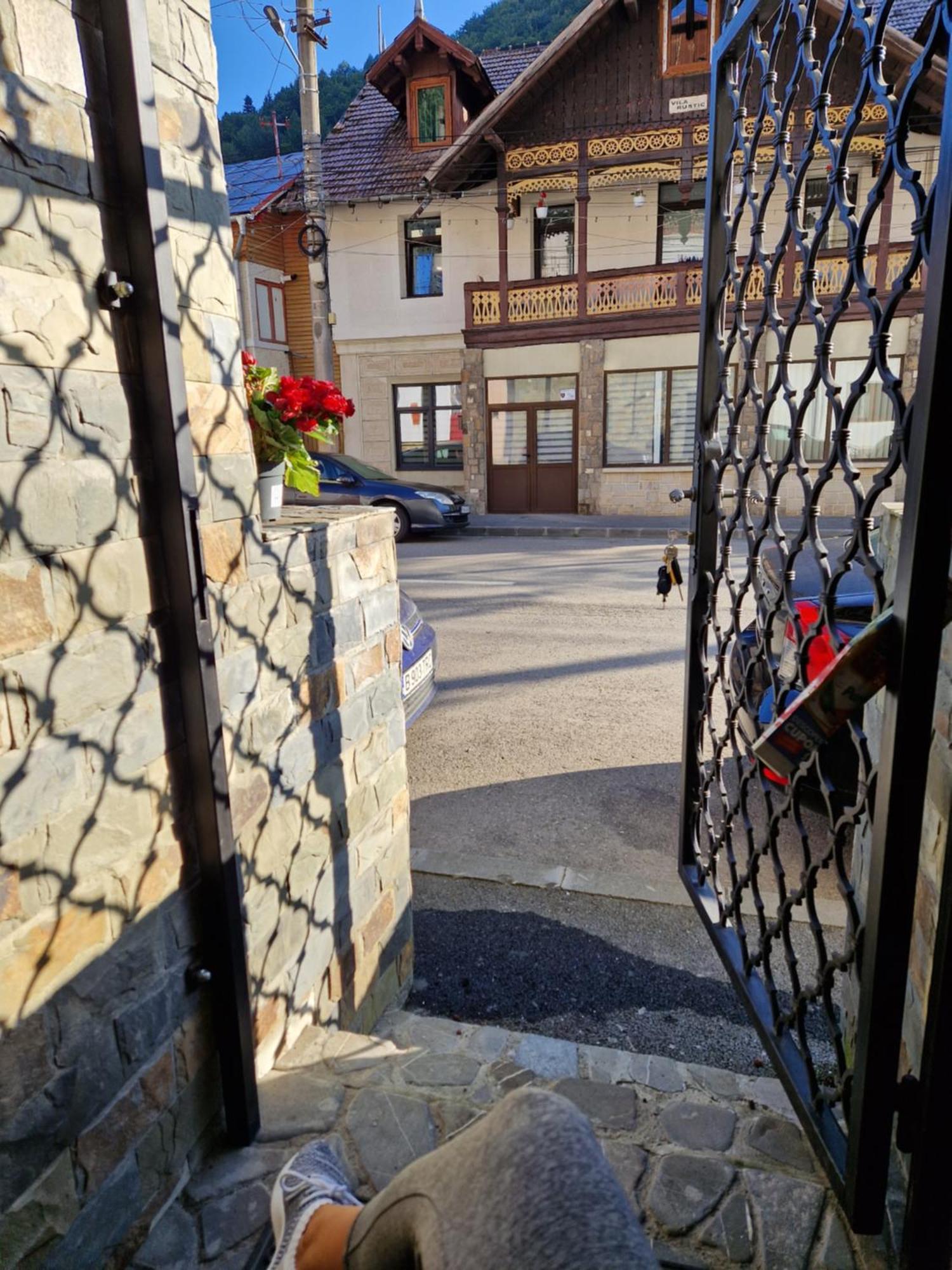 הוילה Sinaia Veche מראה חיצוני תמונה